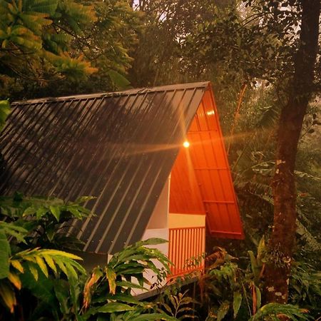 Munnar Home Stay Teadrops Plantation Villa Kültér fotó