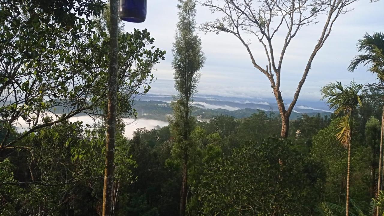 Munnar Home Stay Teadrops Plantation Villa Kültér fotó