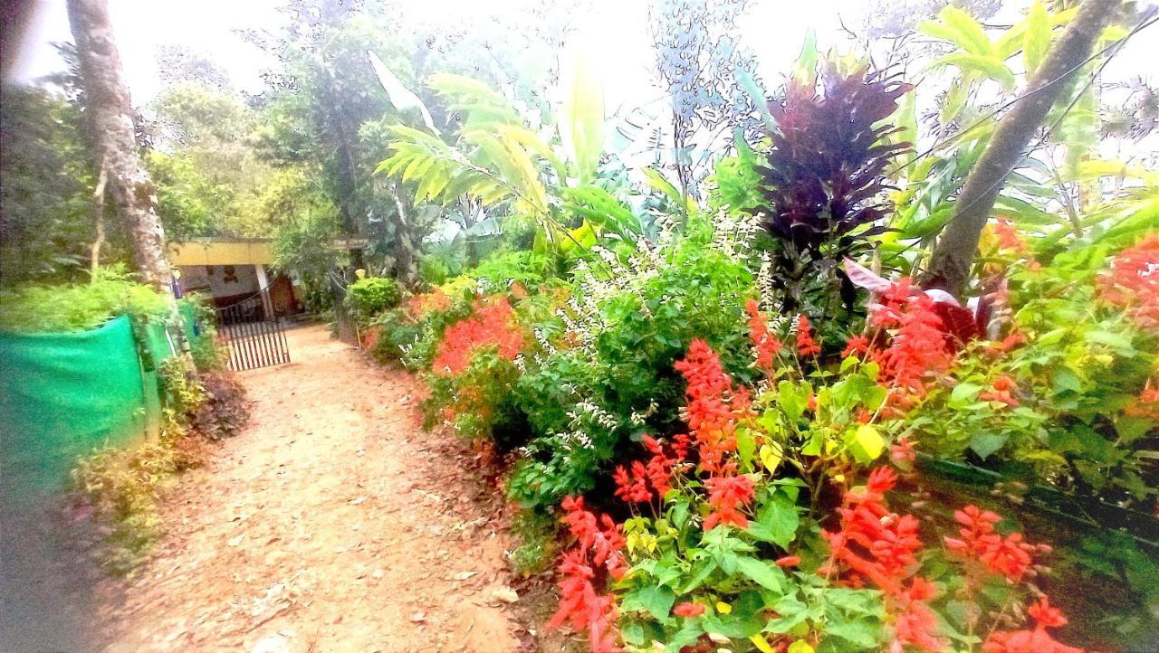 Munnar Home Stay Teadrops Plantation Villa Kültér fotó