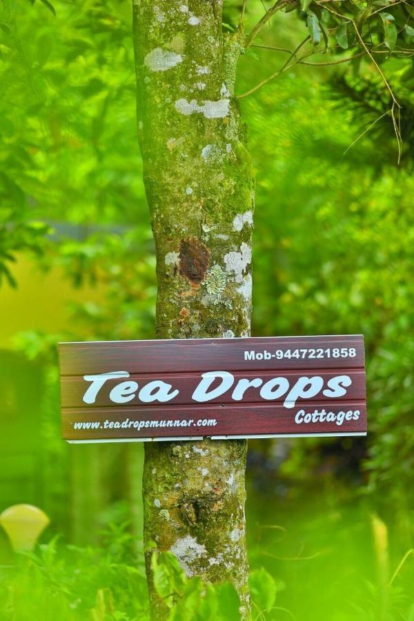 Munnar Home Stay Teadrops Plantation Villa Kültér fotó