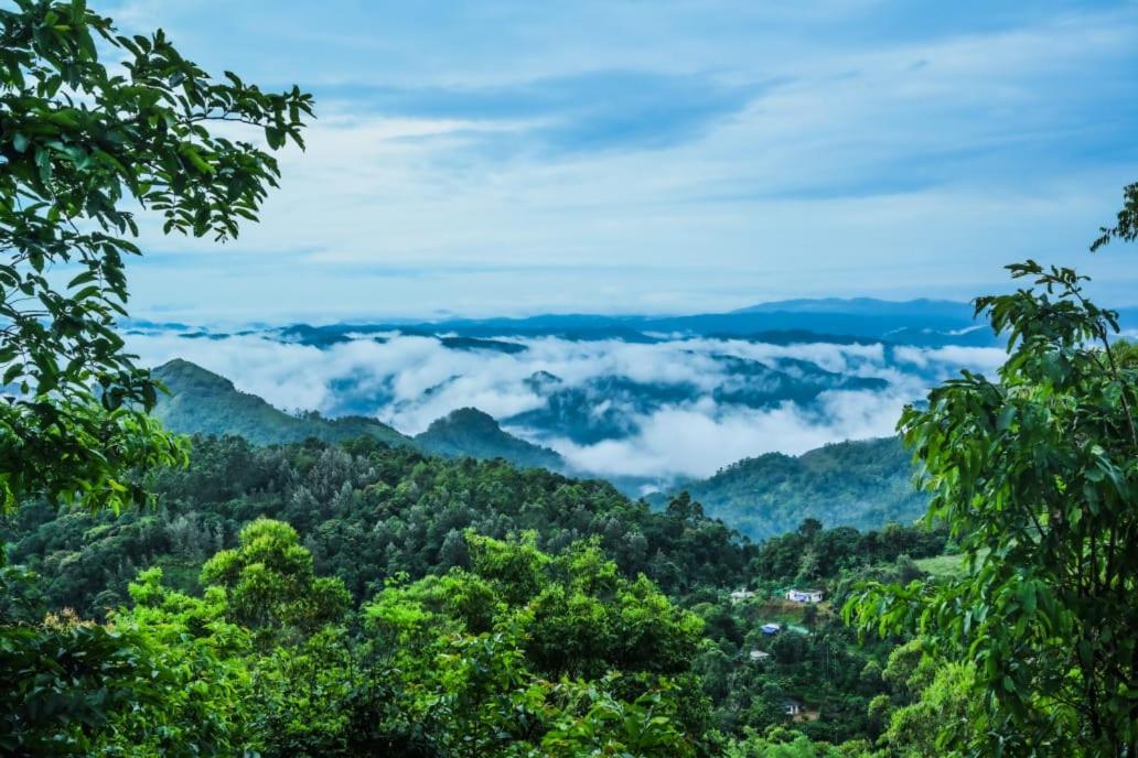 Munnar Home Stay Teadrops Plantation Villa Kültér fotó