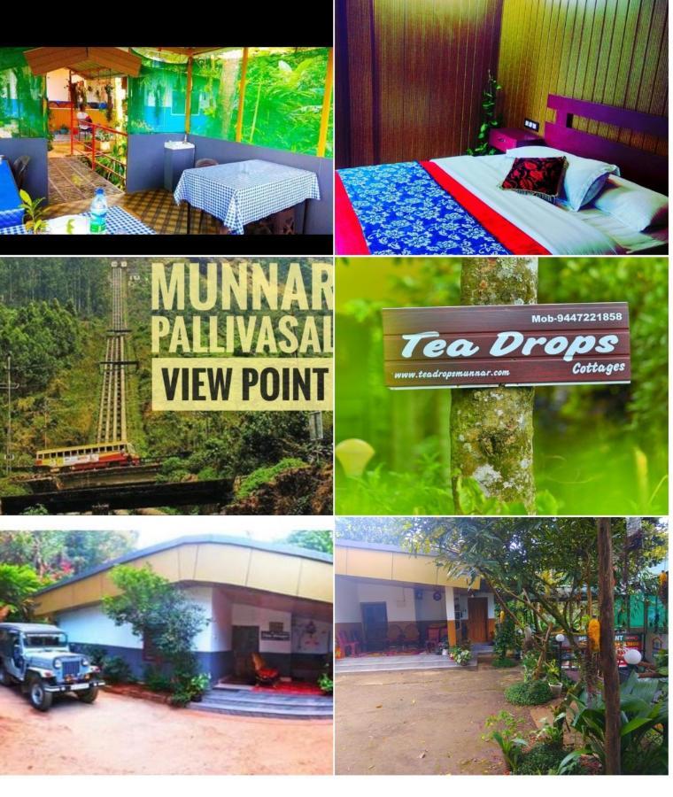 Munnar Home Stay Teadrops Plantation Villa Kültér fotó