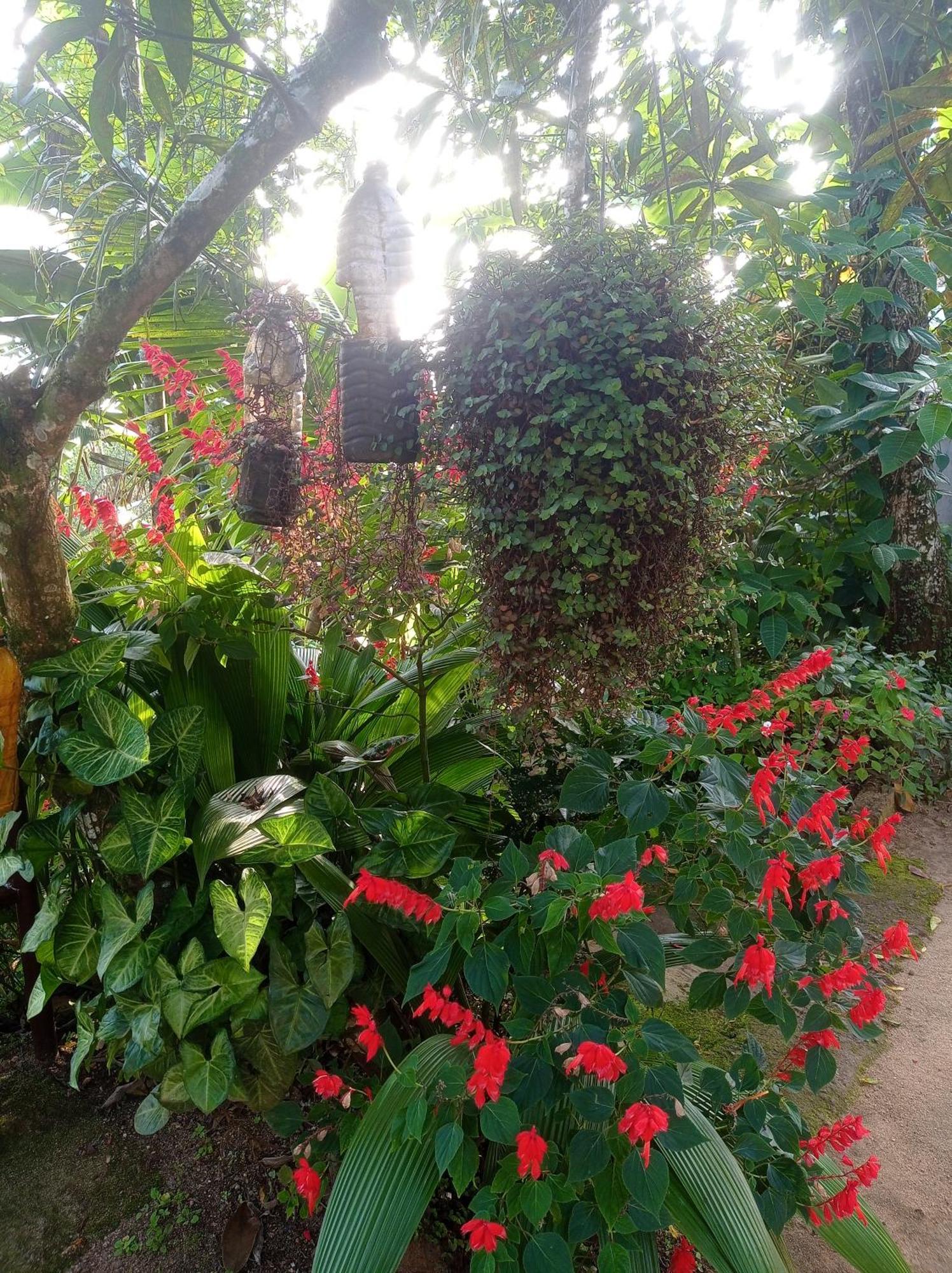 Munnar Home Stay Teadrops Plantation Villa Kültér fotó