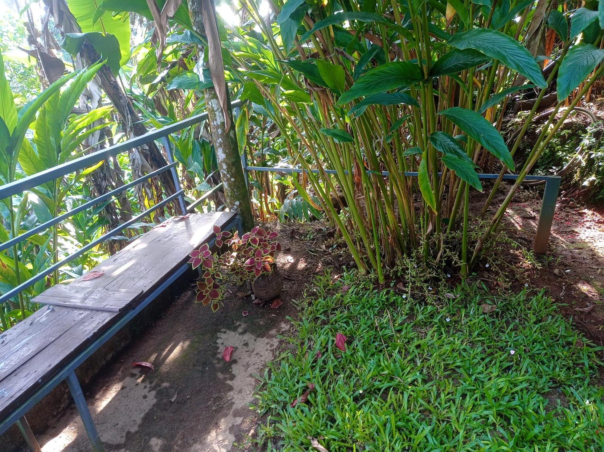 Munnar Home Stay Teadrops Plantation Villa Kültér fotó