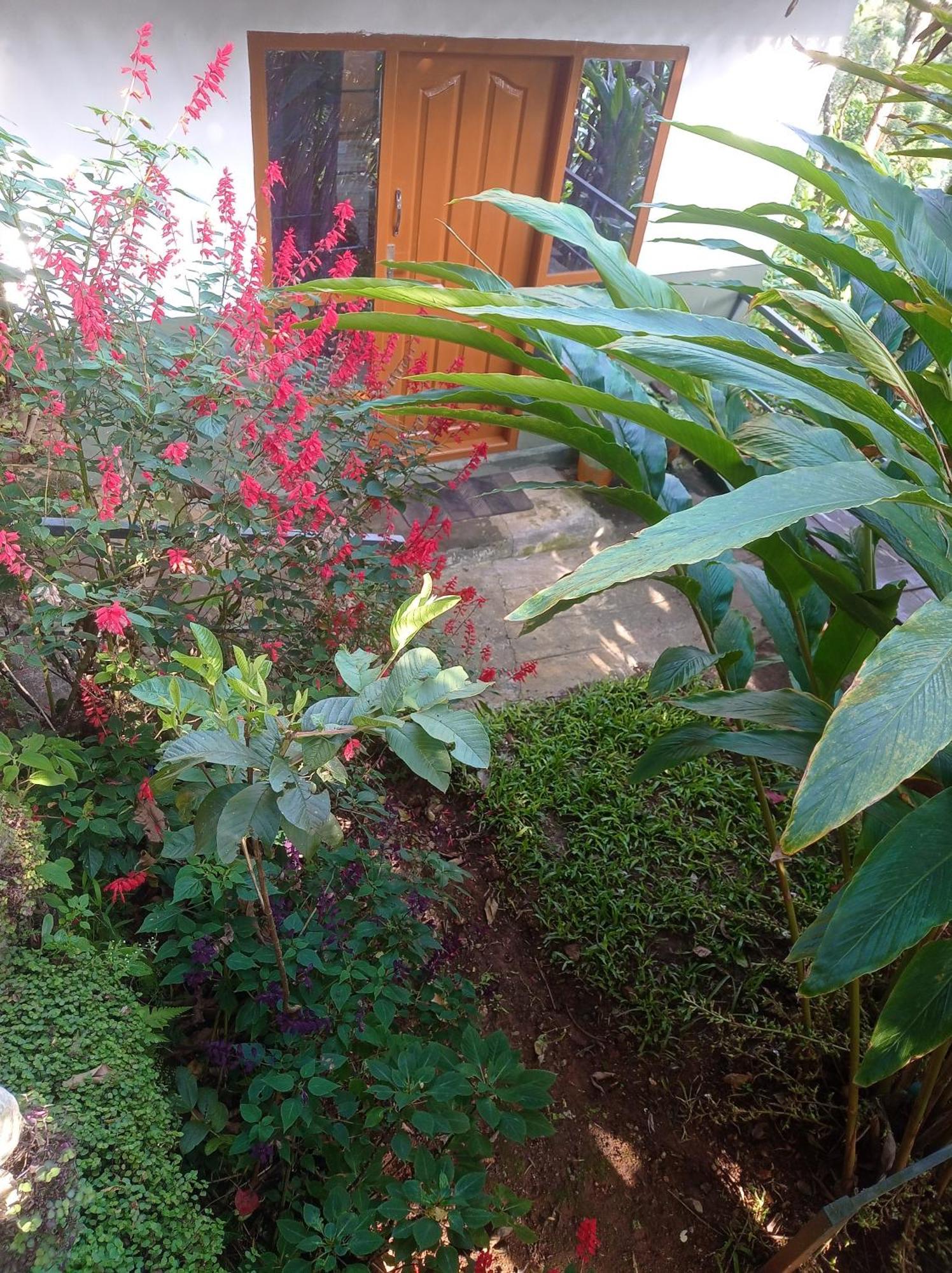 Munnar Home Stay Teadrops Plantation Villa Kültér fotó