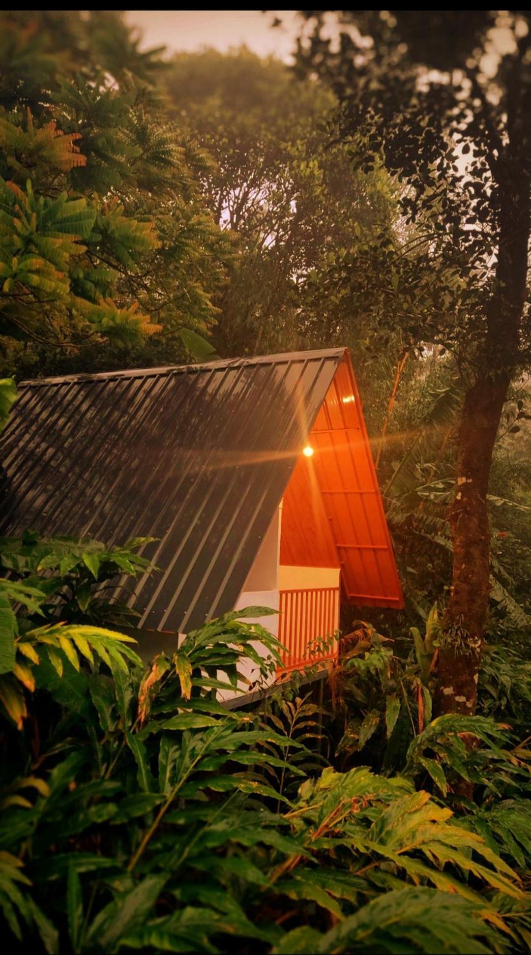 Munnar Home Stay Teadrops Plantation Villa Kültér fotó